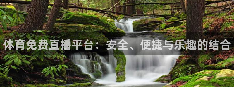蓝鲸lanjing同直播：体育免费直播平台：安全、便捷与乐趣的结合
