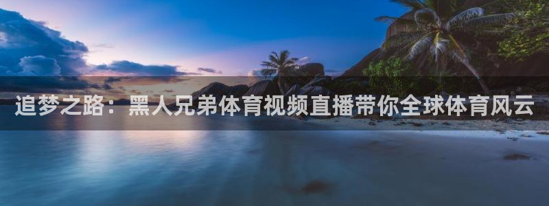 蓝鲸男男直播：追梦之路：黑人兄弟体育视频直播带你全球体育风云