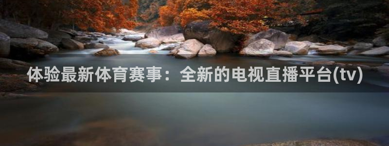 蓝鲸体育免费直播：体验最新体育赛事：全新的电视直播平台(tv)
