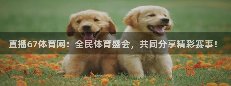 最新蓝鲸直播app：直播67体育网：全民体育盛会，共同分享精彩赛事！
