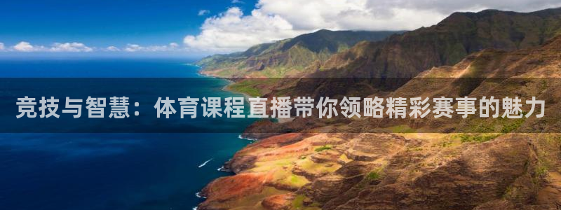 蓝鲸体育足球免费观看：竞技与智慧：体育课程直播带你领略精彩赛事的魅力