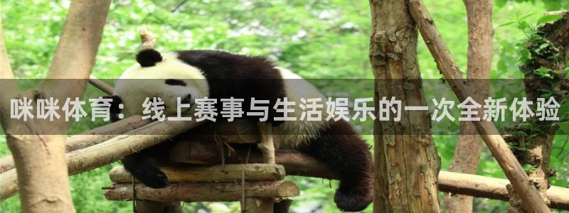 蓝鲸下载：咪咪体育：线上赛事与生活娱乐的一次全新体验