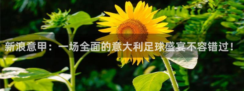 蓝鲸体育直播免费观看：新浪意甲：一场全面的意大利足球盛宴不容错过！