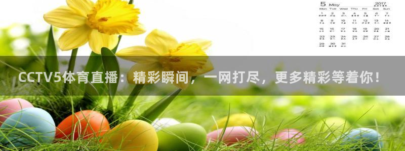 蓝鲸直播app：CCTV5体育直播：精彩瞬间，一网打尽，更多精彩等着你！