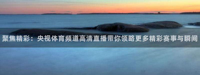 蓝鲸体育直播在线观看nba总决赛：聚焦精彩：央视体育频道高清直播带你领略更多精彩赛事与瞬间