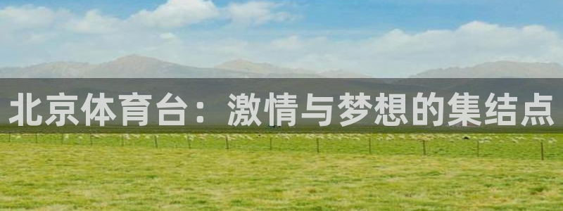 蓝鲸直播体育appv3.新地址.org：北京体育台：激情与梦想的集结点