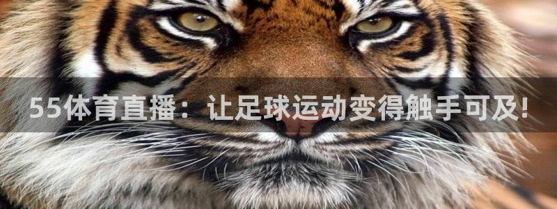 蓝鲸fm直播：55体育直播：让足球运动变得触手可及!