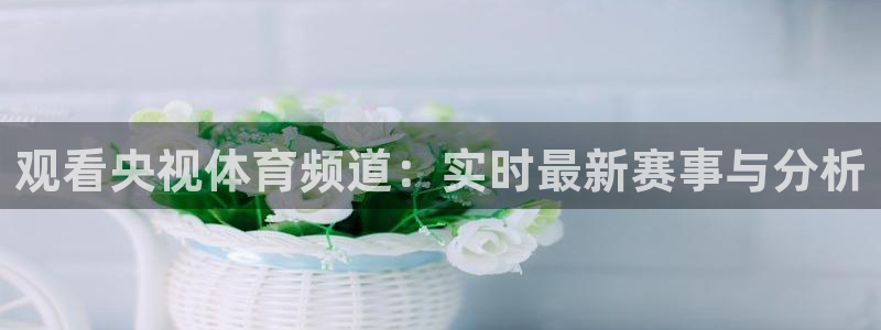 蓝鲸交警直播：观看央视体育频道：实时最新赛事与分析